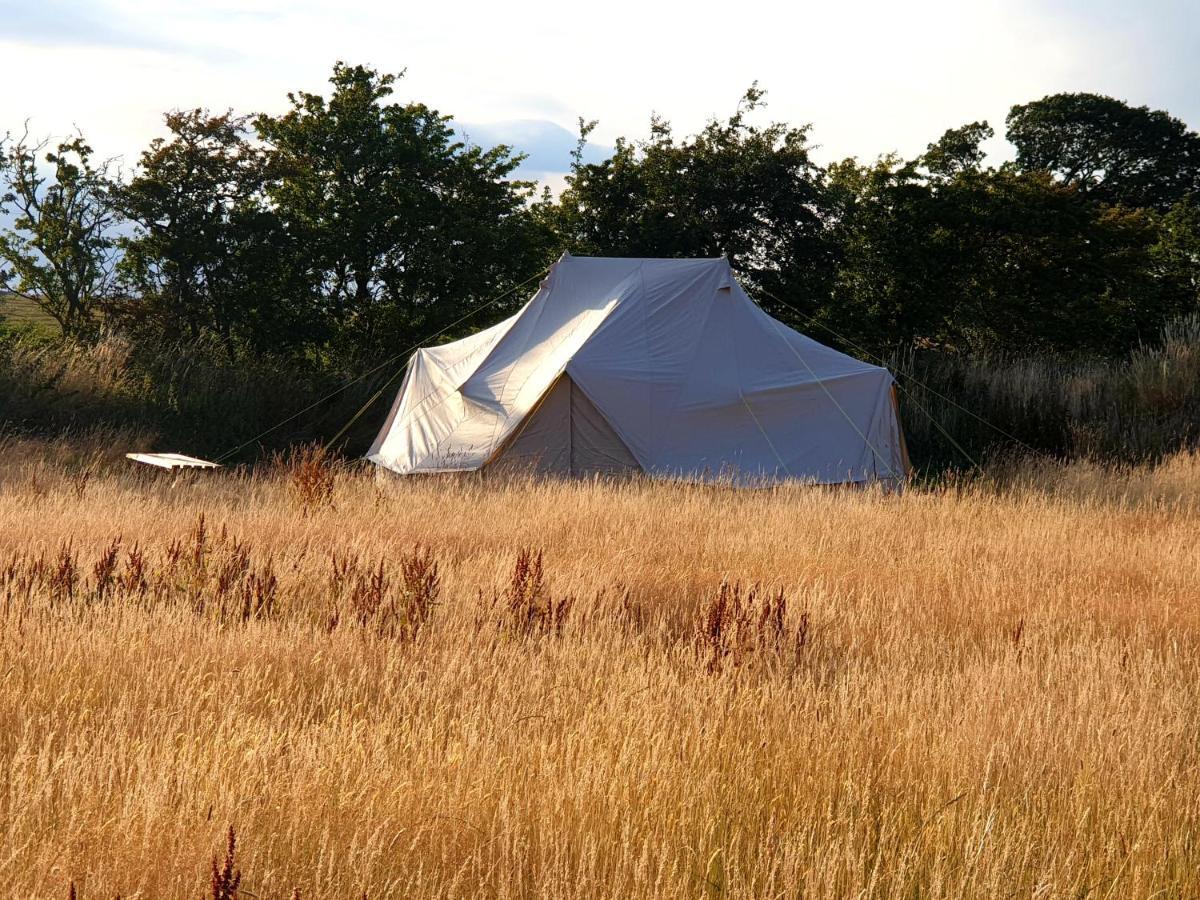 6M Emperor Tent Near Whitby With Log Burner Liverton Exterior photo